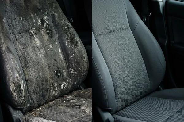 Mould Removal
